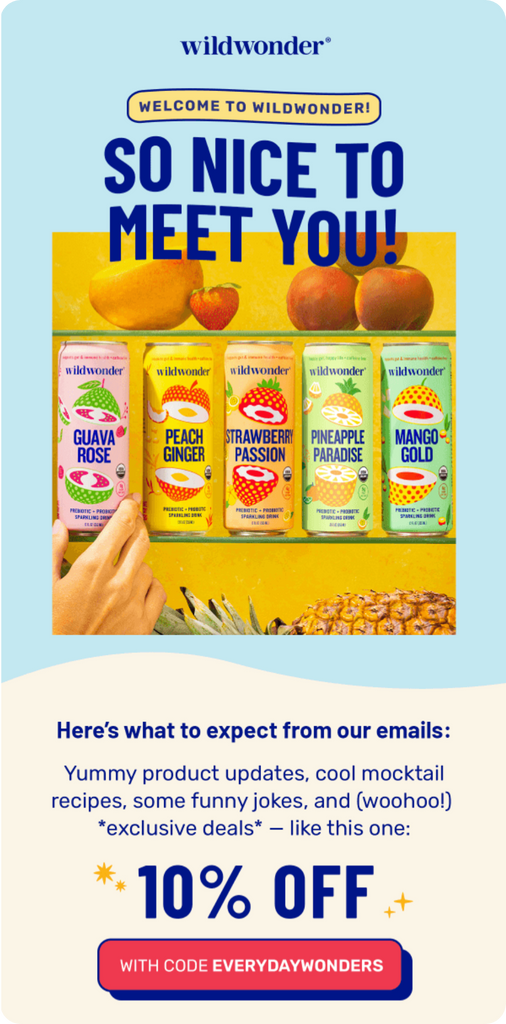 Welcome Series Email Campaign