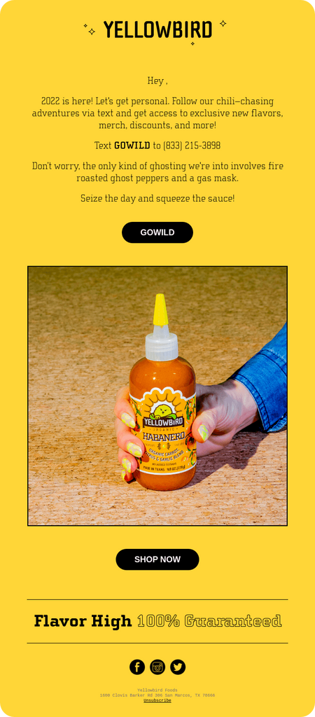 Seasonal and Promotional Email Series